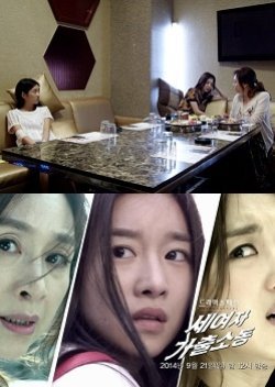 Drama Special Season 5: The Three Female Runaways 2014