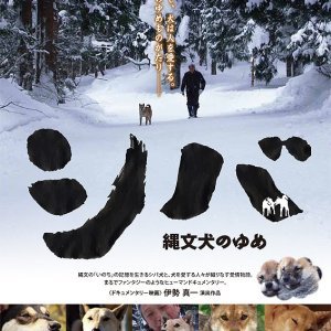 Shiba Dreaming of Jomon Dogs (2014)