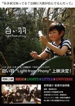Shiroihane Light from Phony (2014) photo