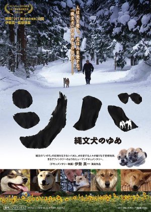 Shiba Dreaming of Jomon Dogs 2014
