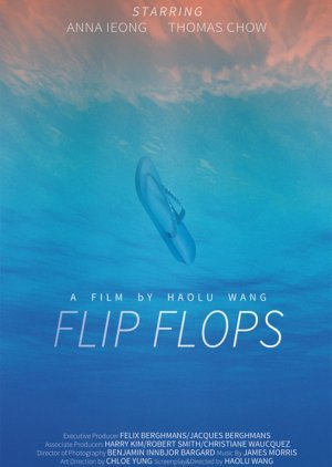 Flip Flops 2015