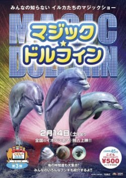 Magic Dolphin 2015