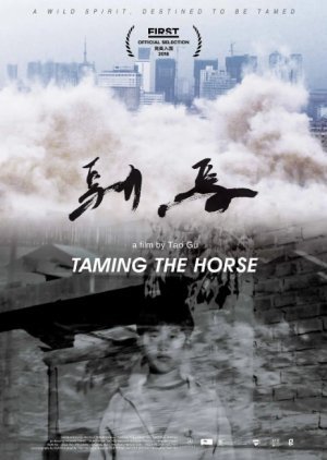 Taming the Horse 2017