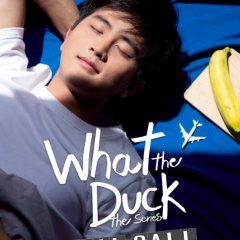 What the Duck Season 2: Final Call (2019) photo