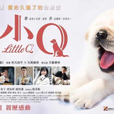 Little Q (2019)