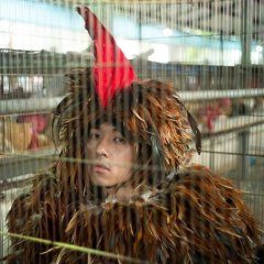 A Cockerel's Tale (2019) photo