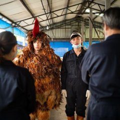 A Cockerel's Tale (2019) photo