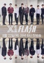 X1 Flash (2019) photo