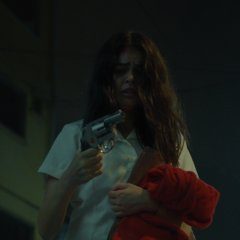 The Girl and the Gun (2019) photo