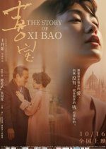 The Story of Xi Bao (2020) photo
