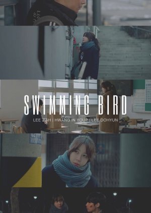 Swimming Bird 2020