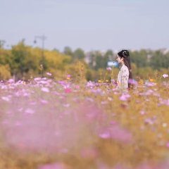 The Young Master and the Tea-Picking Girl (2020) photo