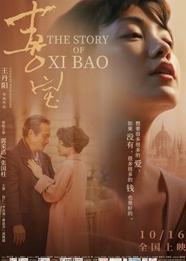 The Story of Xi Bao 2020