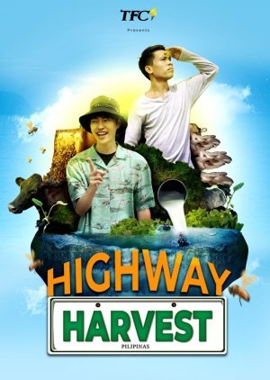 Highway Harvest