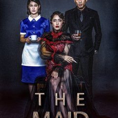 The Maid (2020) photo