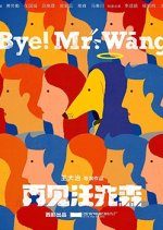 Bye! Mr. Wang (2021) photo