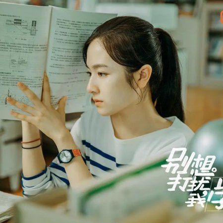 Don't Disturb My Study (2021)