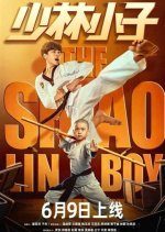 The Shaolin Boy (2021) photo