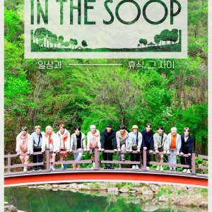 Seventeen in the Soop: Behind the Scenes (2021)