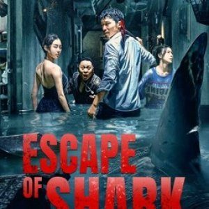 Escape of Shark (2021)