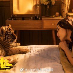 Tiger Robbers (2021) photo