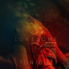 Are You Lonesome Tonight? (2021) photo