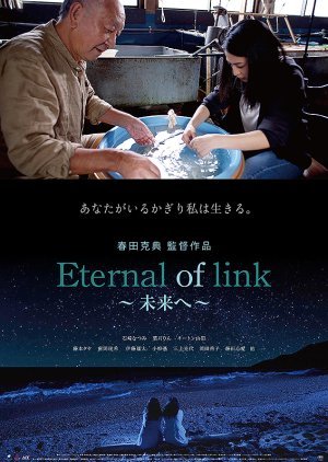 Eternal of link～未来へ～