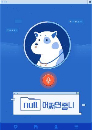 null 어쩌면 좋니