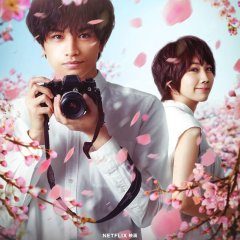 Love Like the Falling Petals (2022) photo