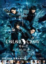 Color Crow (2022) photo