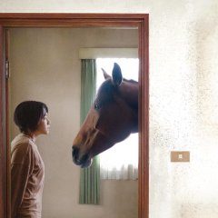 The Horse (2023) photo