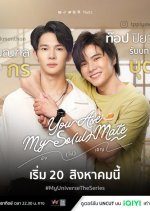 You Are My So(ul) Mate (2023) photo