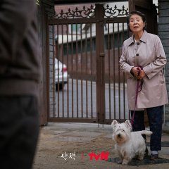 tvN O'PENing: Walking (2023) photo
