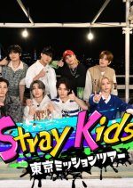 Stray Kids Tokyo Mission Tour (2023) photo