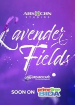 Lavender Fields (2024) photo