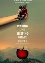 Waking the Sleeping Grape (2024) photo