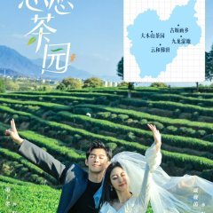 Love in the Tea Garden (2024) photo