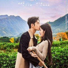 Love in the Tea Garden (2024) photo