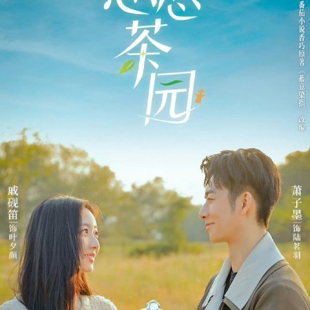 Love in the Tea Garden (2024)