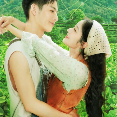 Love in the Tea Garden (2024)