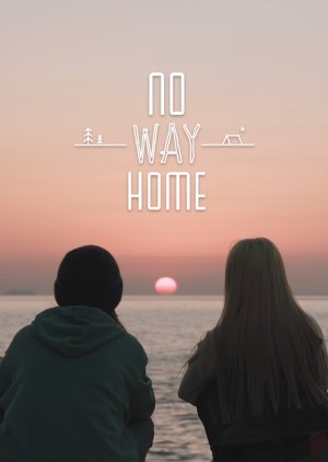 No Way Home 2024